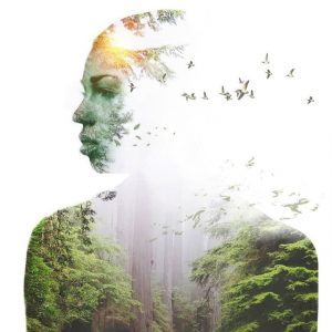 Gesundheit und Leben